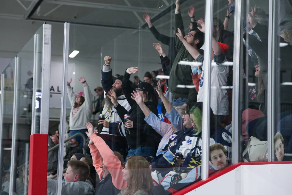fans cheering