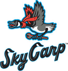 sky carp logo